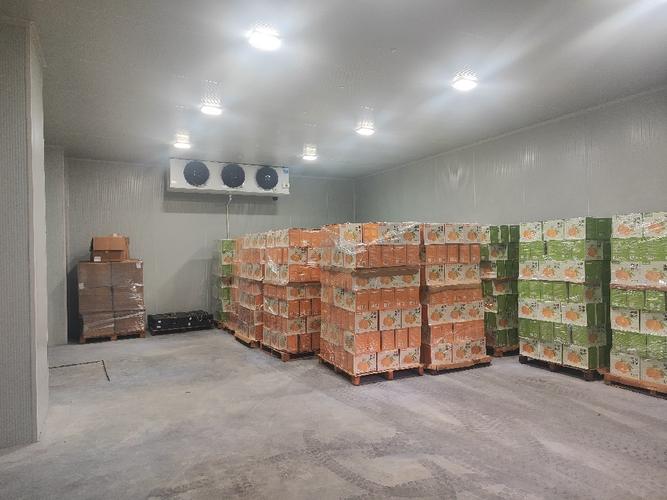 湛江苹果保鲜库