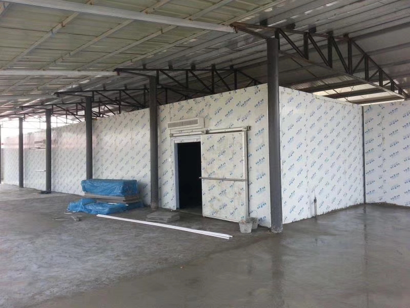 大型蔬菜保鲜冷库设计安装