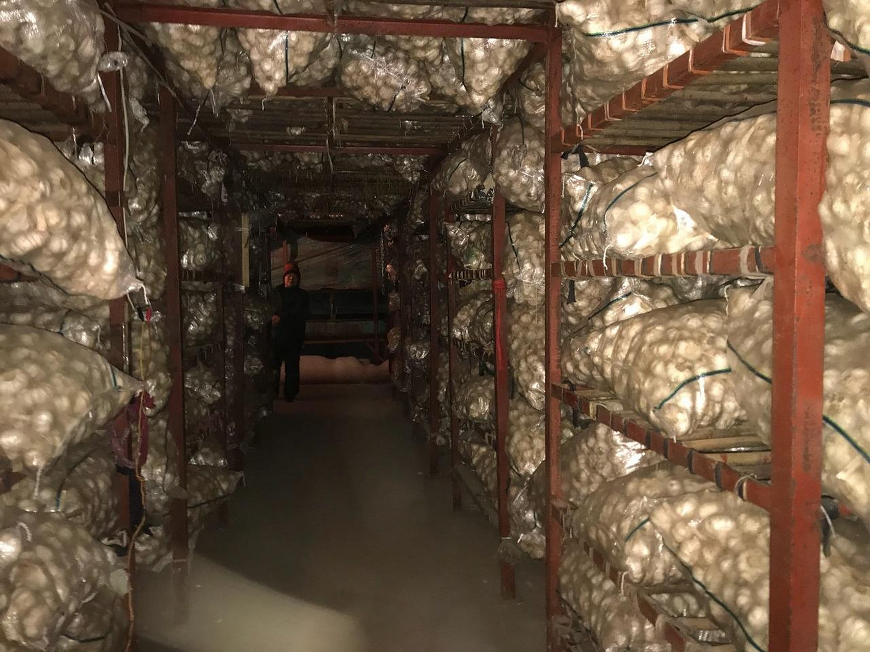 大蒜保鲜库冷库安装工程