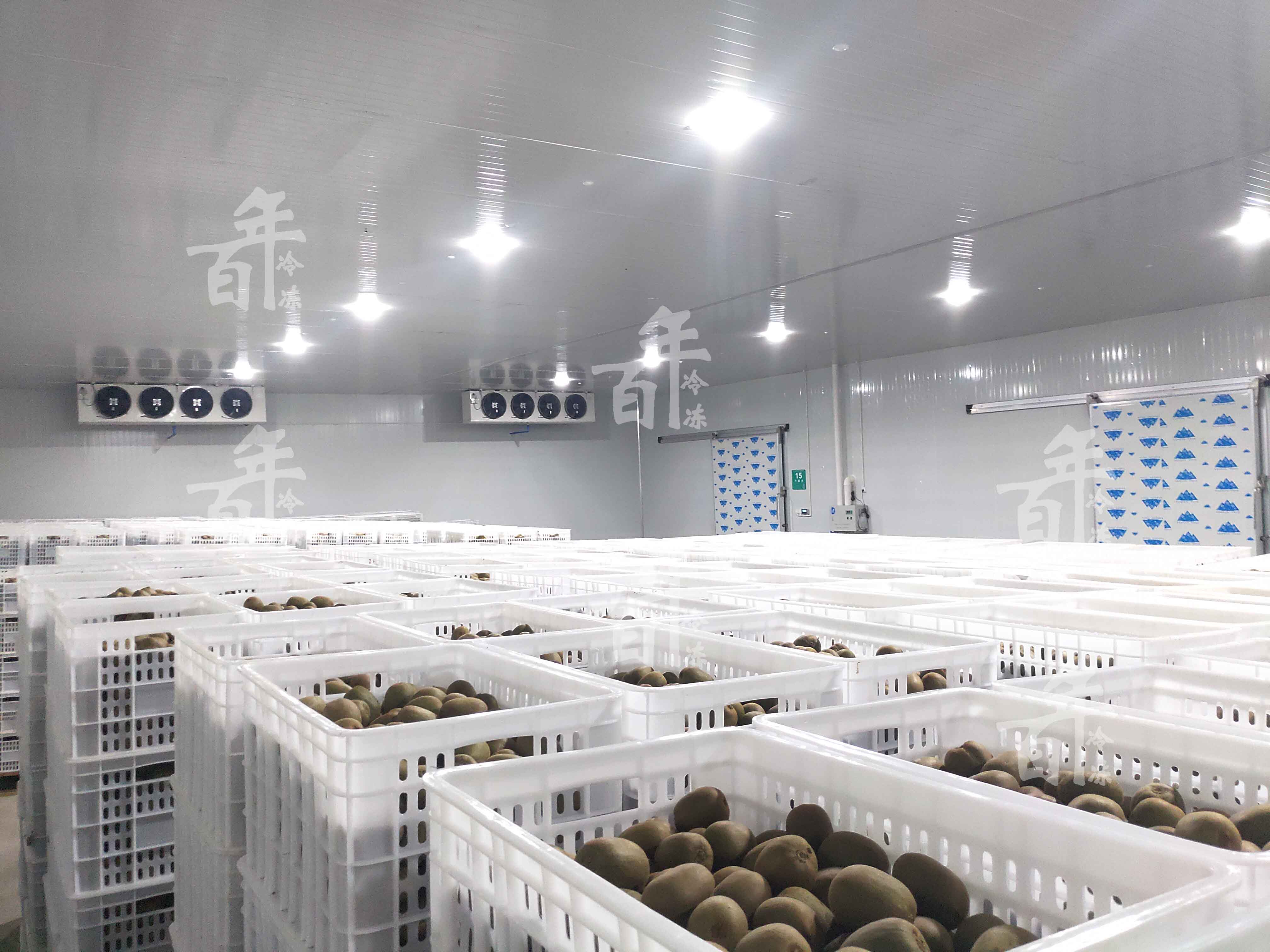 水果保鲜库安装工程